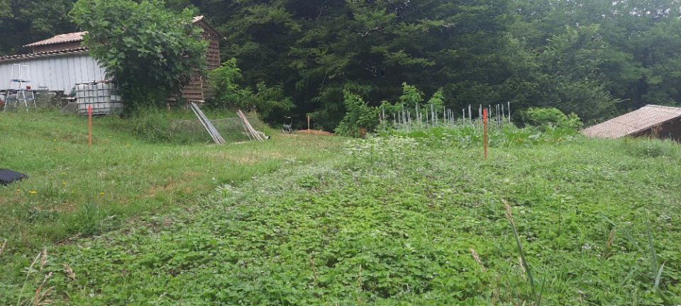 Terrain à bâtir à Créon (33670)