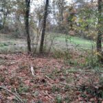 Maison à construire à Maurens (24140)