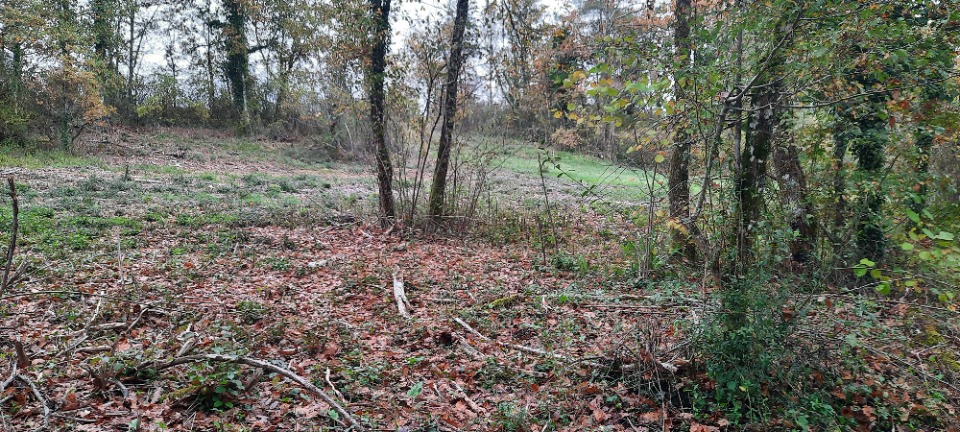 Terrain à bâtir à Maurens (24140)