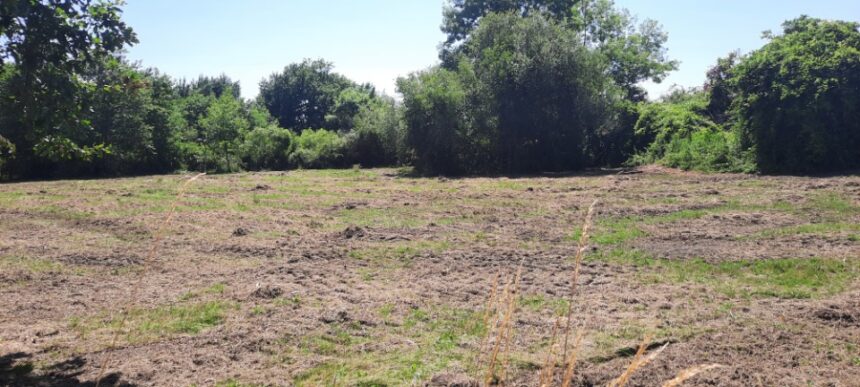 Terrain à bâtir à Mios (33380)