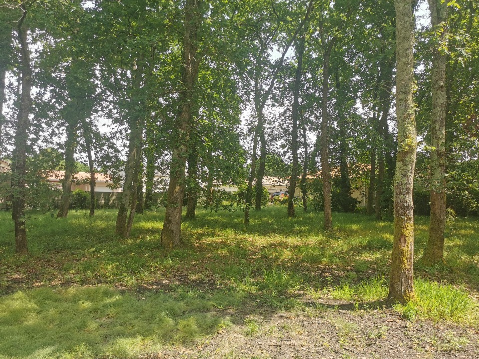 Terrain à bâtir à Audenge (33980)