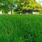 Maison à construire à Hourtin (33990)