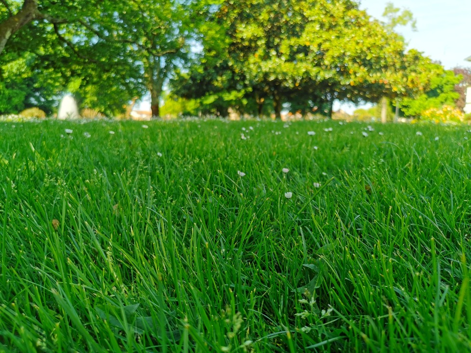 Terrain à bâtir à Hourtin (33990)