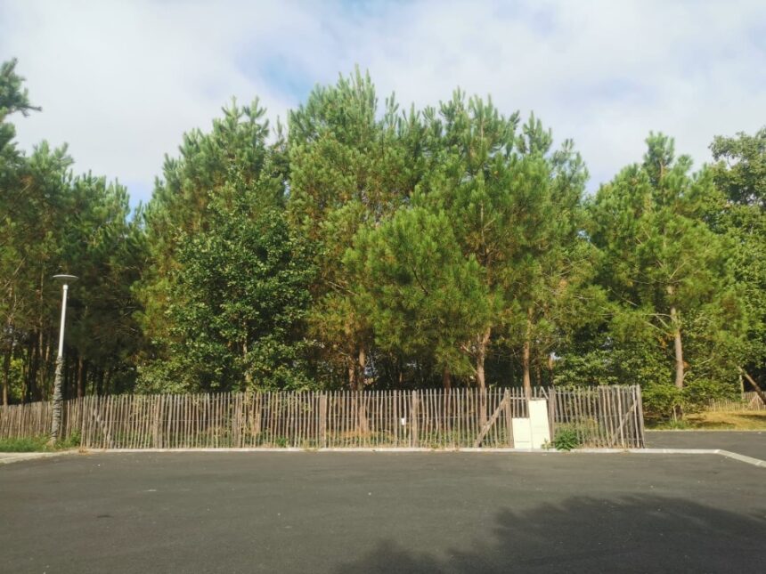 Terrain à bâtir à Le Porge (33680)