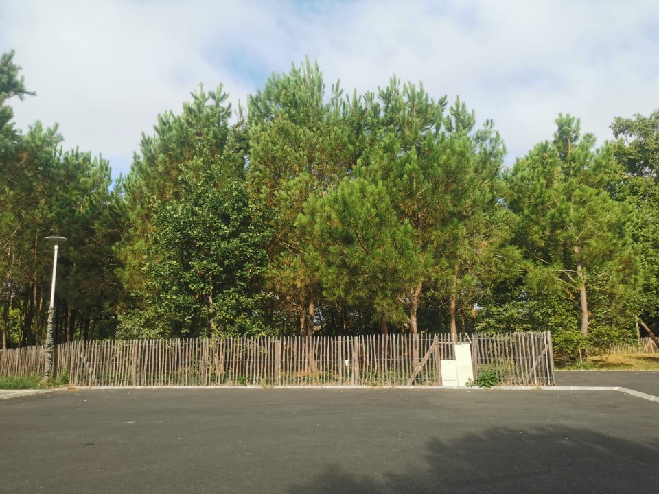 Terrain à bâtir à Le Porge (33680)