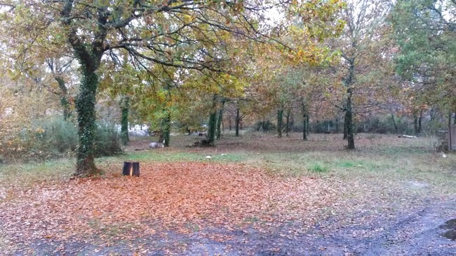 Terrain à bâtir à Mios (33380)