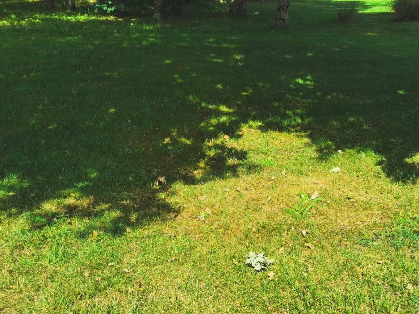 Terrain à bâtir à Andernos-les-Bains (33510)