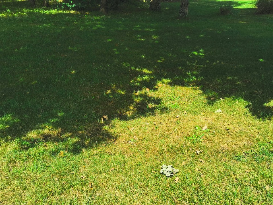 Terrain à bâtir à Andernos-les-Bains (33510)