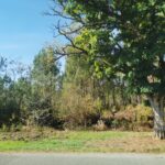 Maison à construire à Sanguinet (40460)