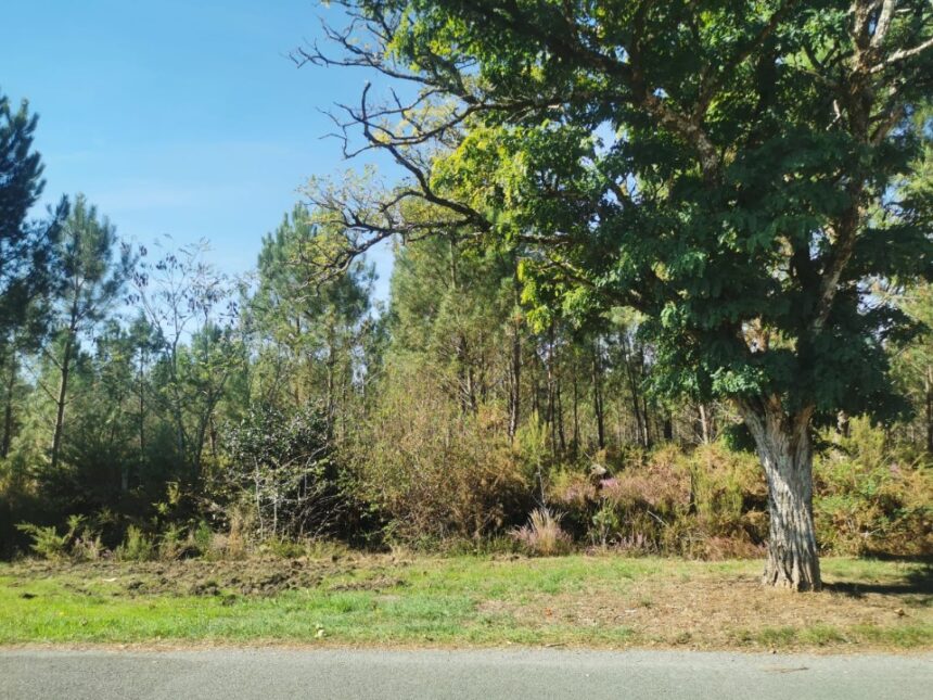 Maison à construire à Sanguinet (40460)