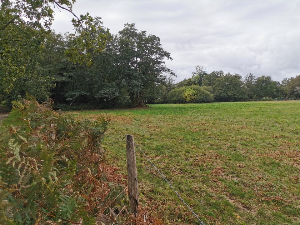 Terrain à bâtir à Le Barp (33114)
