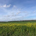 Terrain à bâtir à Bourgneuf (17220)