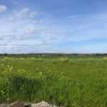 Terrain à bâtir à Bourgneuf (17220)