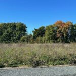 Terrain à bâtir à Ardillières (17290)