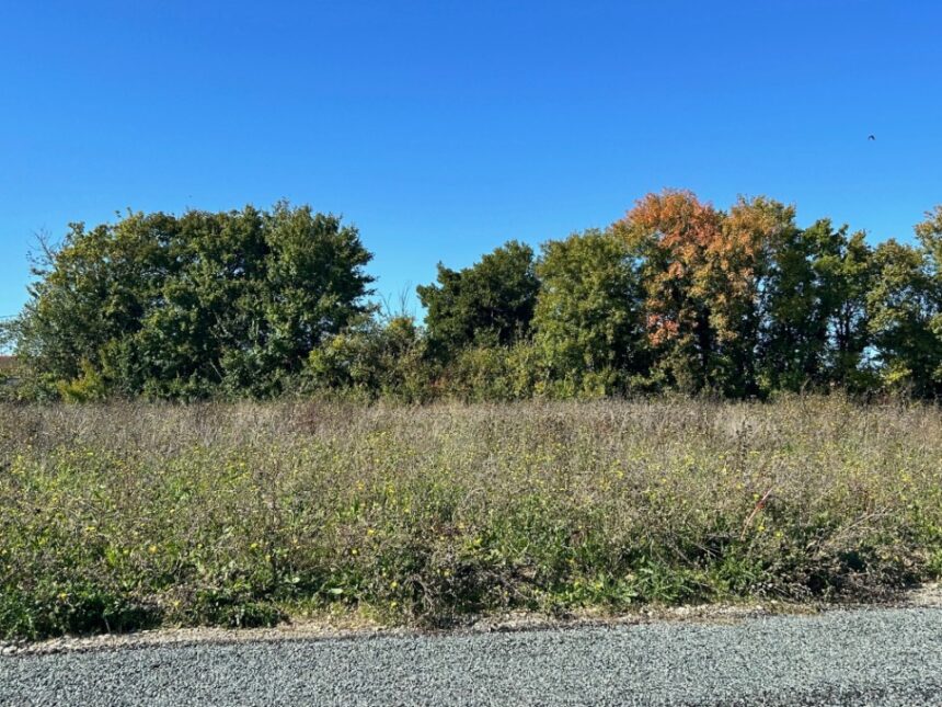 Terrain à bâtir à Ardillières (17290)