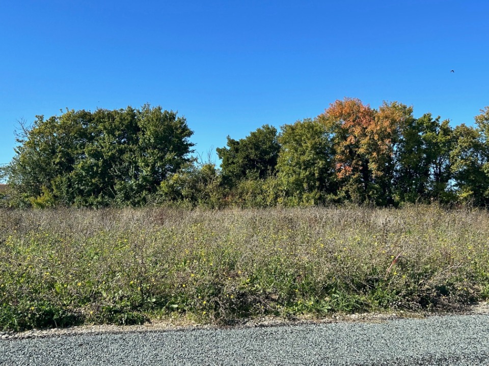 Terrain à bâtir à Ardillières (17290)