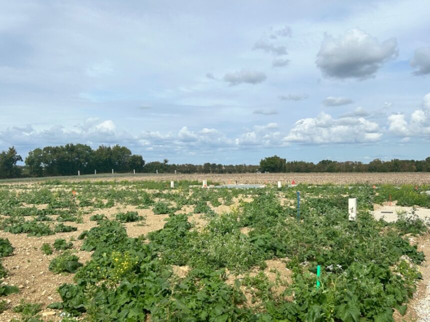 Maison à construire à Saint-Jean-de-Liversay (17170)