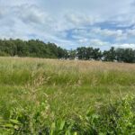 Maison à construire à Arveyres (33500)