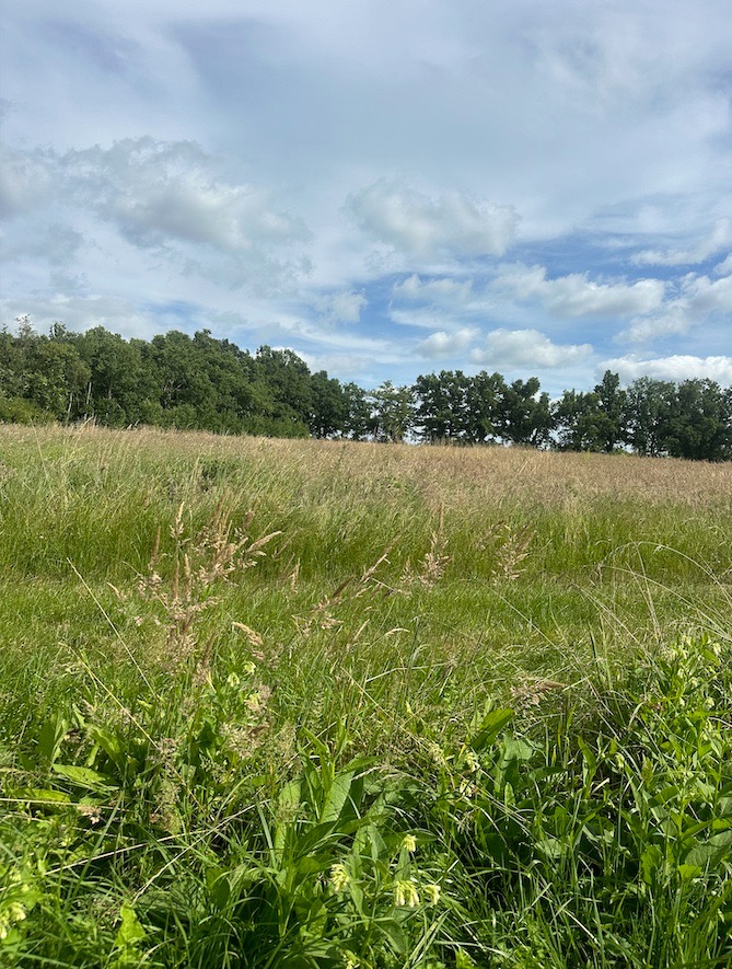 Terrain à bâtir à Arveyres (33500)