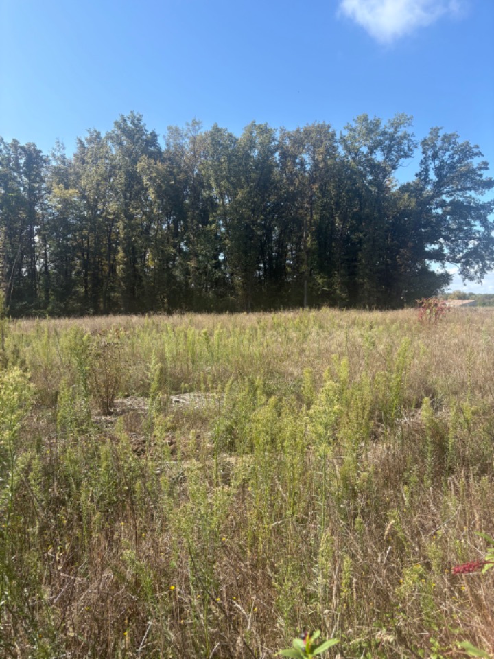 Terrain à bâtir à Galgon (33133)