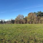 Terrain à bâtir à Les Peintures (33230)