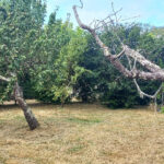 Terrain à bâtir à Montpon-Ménestérol (24700)