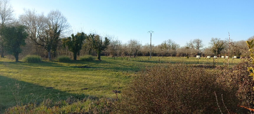 Terrain à bâtir à Ménesplet (24700)