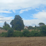 Terrain à bâtir à Montpon-Ménestérol (24700)