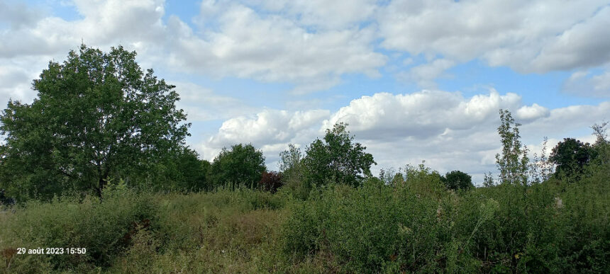 Terrain à bâtir à Montpon-Ménestérol (24700)
