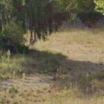 Maison à construire à Preignac (33210)