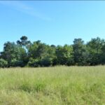 Maison à construire à Landiras (33720)