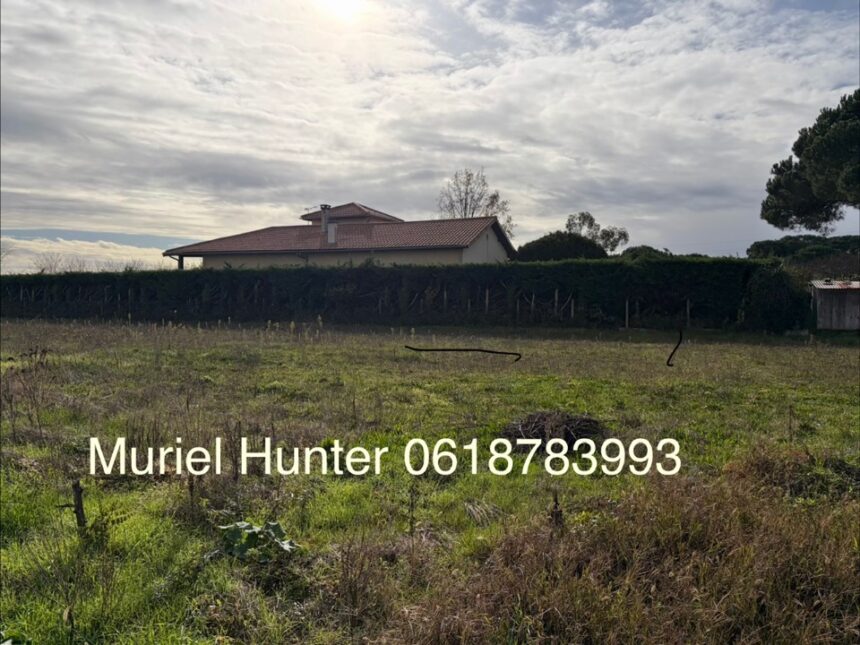 Maison à construire à Portets (33640)