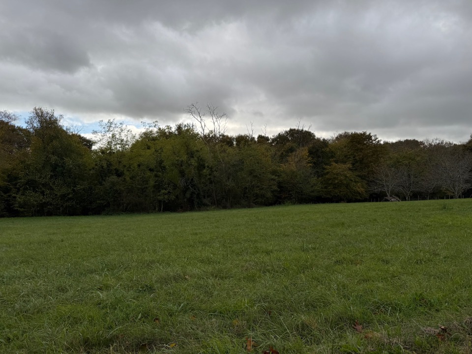 Terrain à bâtir à Saint-Exupéry (33190)