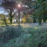 Maison à construire à Langon (33210)