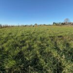 Maison à construire à Capian (33550)