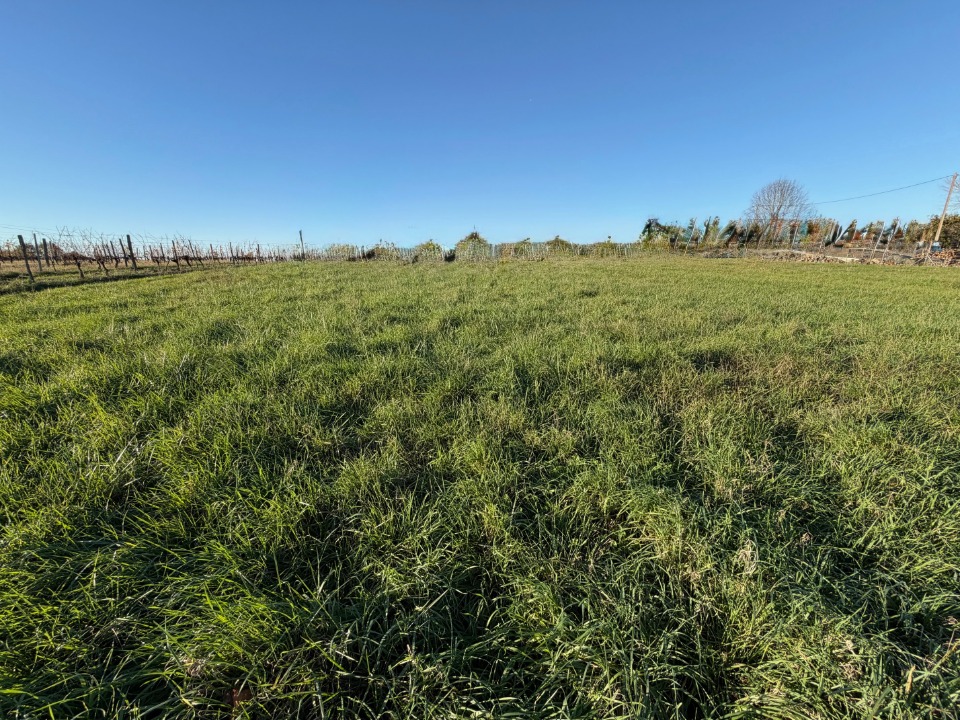 Terrain à bâtir à Capian (33550)