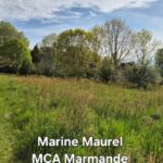 Terrain à bâtir à Eymet (24500)