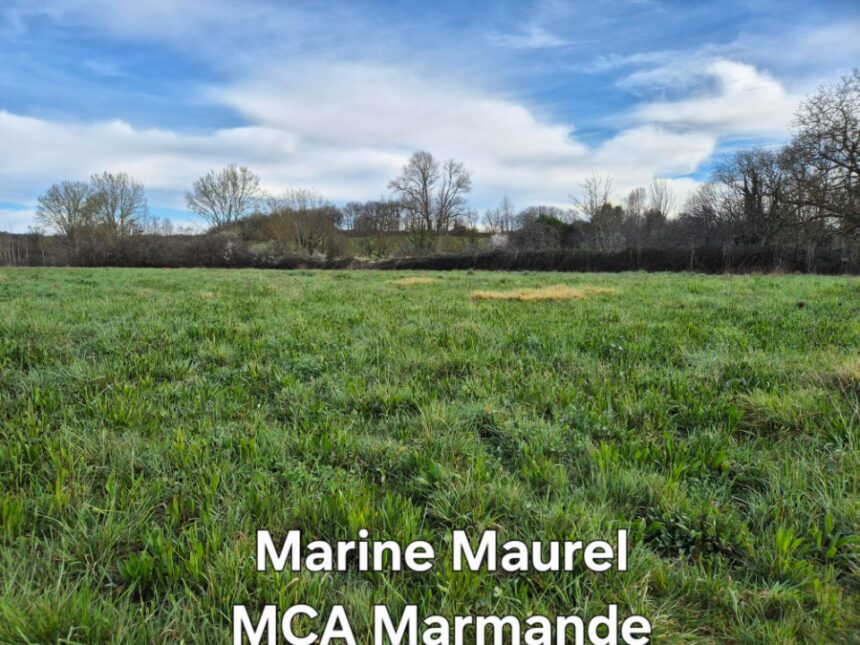 Maison à construire à Moustier (47800)