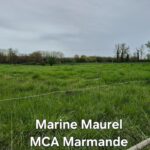 Terrain à bâtir à Fourques-sur-Garonne (47200)