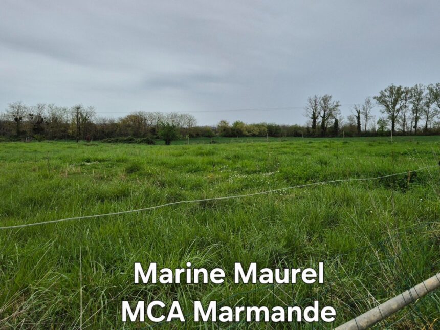 Terrain à bâtir à Fourques-sur-Garonne (47200)