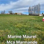 Maison à construire à Villeneuve-de-Duras (47120)