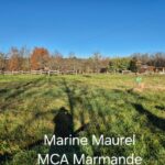 Maison à construire à Saint-Géraud (47120)