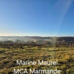 Terrain à bâtir à Sainte-Gemme (33580)