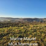 Maison à construire à Sainte-Gemme (33580)