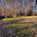 Maison à construire à Landiras (33720)