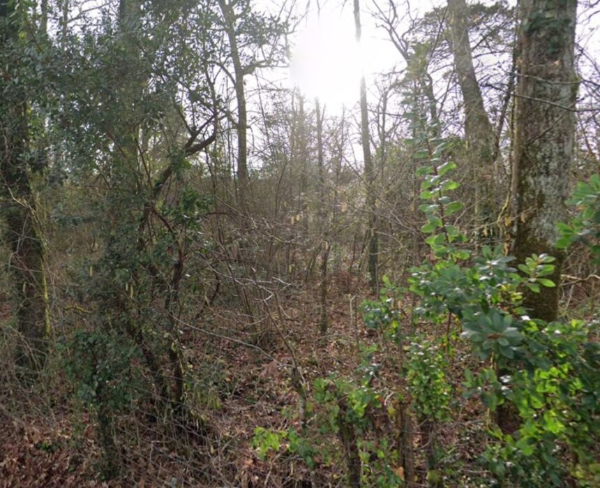 Terrain à bâtir à La Brède (33650)