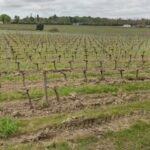 Maison à construire à La Lande-de-Fronsac (33240)