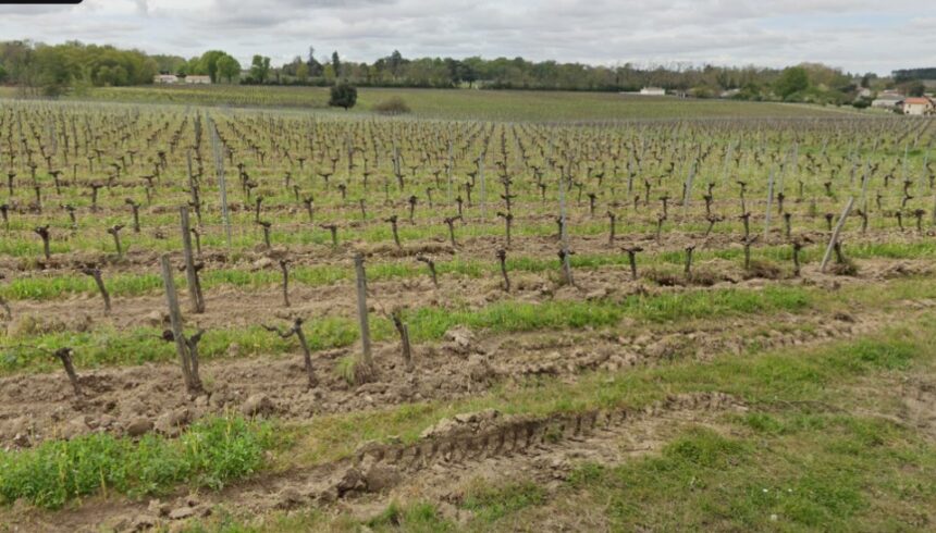 Maison à construire à La Lande-de-Fronsac (33240)