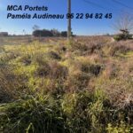 Maison à construire à Castres-Gironde (33640)