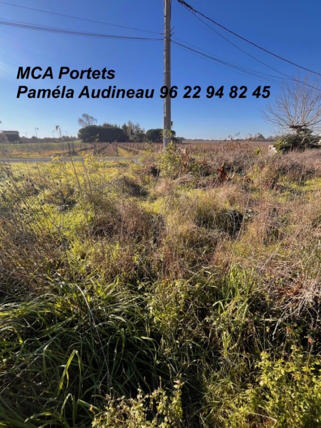 Terrain à bâtir à Castres-Gironde (33640)